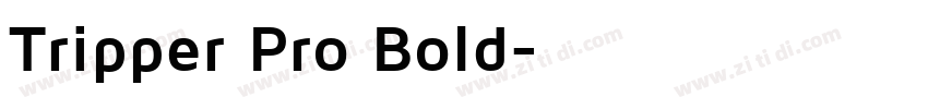 Tripper Pro Bold字体转换